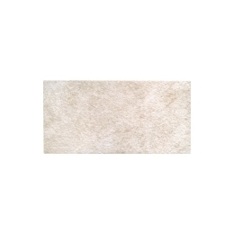 Pavimento Per Esterni 20x40 Rettangolare Felsite Beige Ceramiche San Nicola