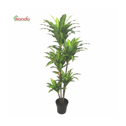 Pianta Dracena Artificiale 170 Cm